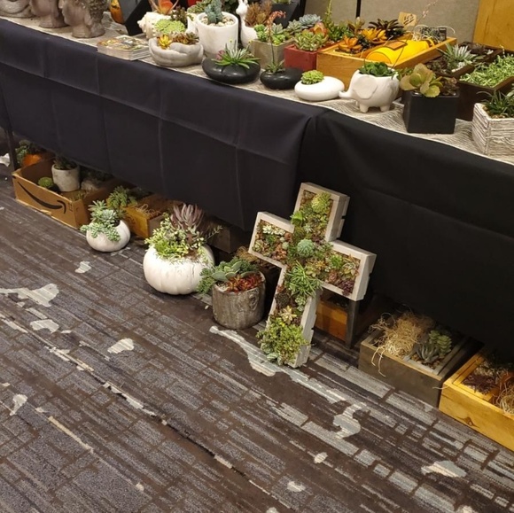 Succulents unique hand made artistic - Picture 2 of 7